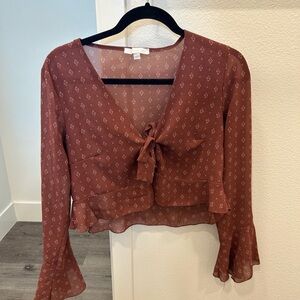 American Eagle Outfitters Brown Sheer Blouse